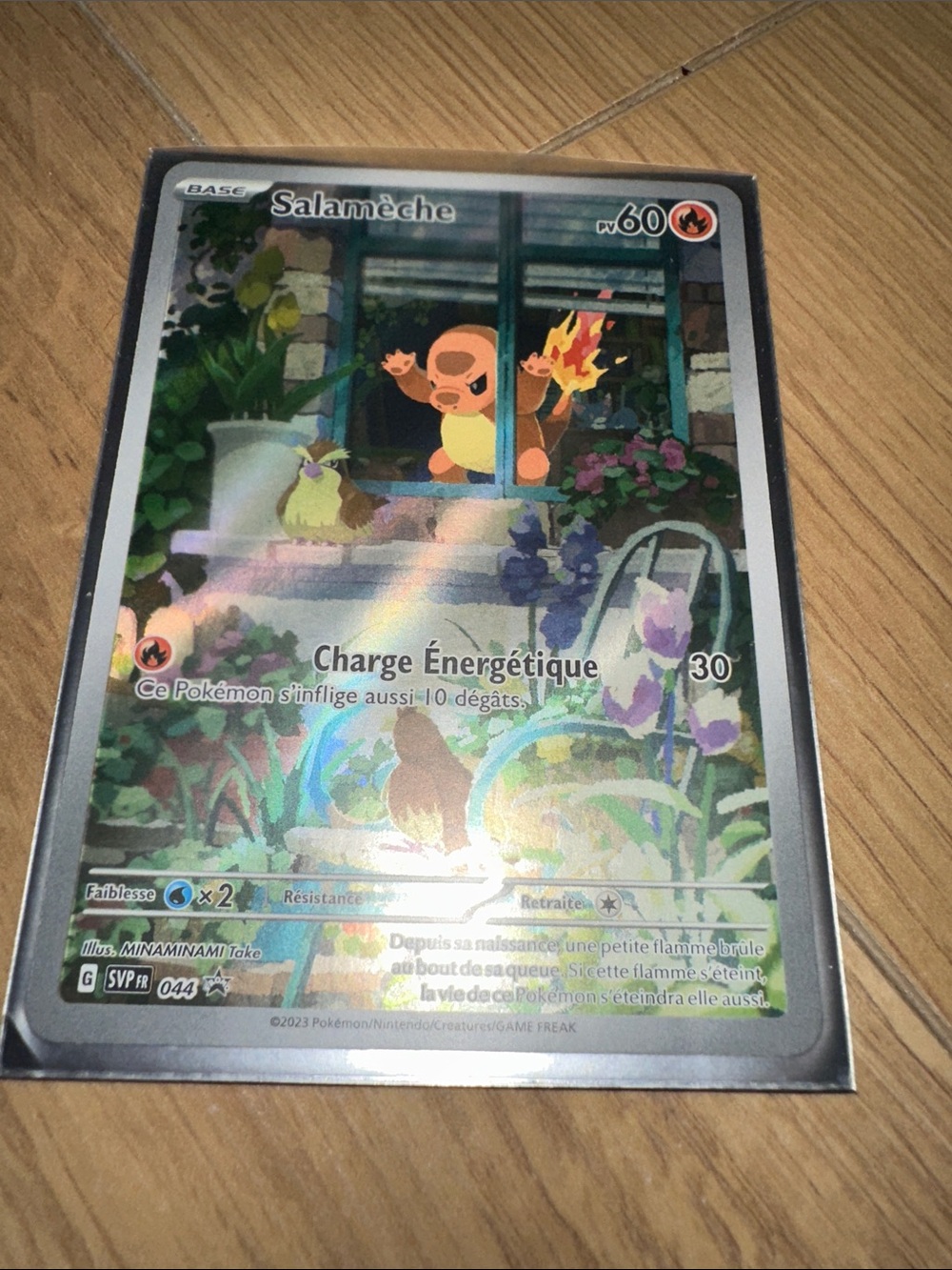 Pokemon Trading Card